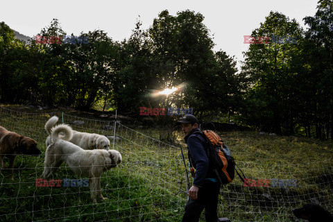 Pasterze owiec w dzikiej dolinie Fournel - AFP