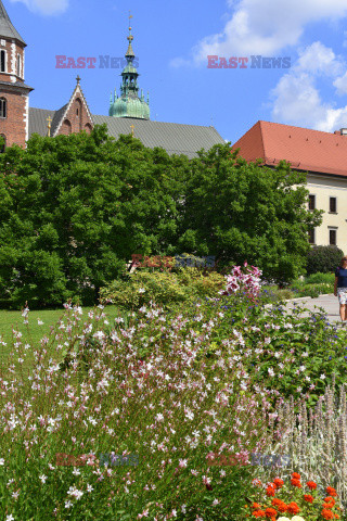 Kraków Albin Marciniak