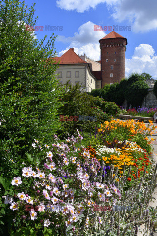 Kraków Albin Marciniak