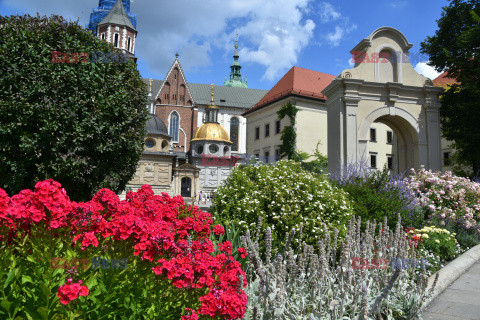 Kraków Albin Marciniak