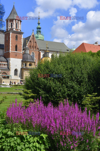 Kraków Albin Marciniak