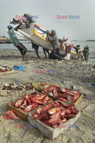 Senegal - Redux Pictures