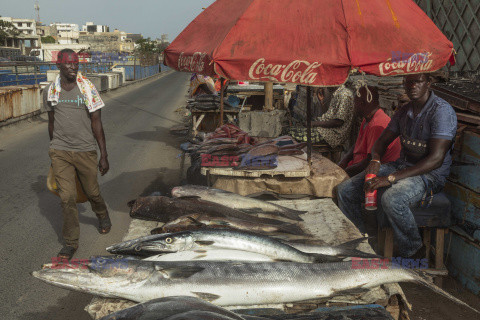 Senegal - Redux Pictures