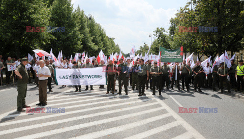 Ogólnopolski protest leśników