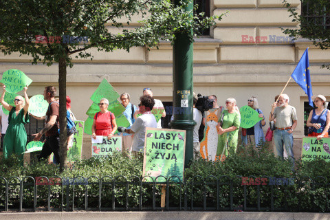 Ogólnopolski protest leśników