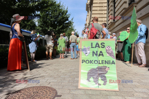 Ogólnopolski protest leśników