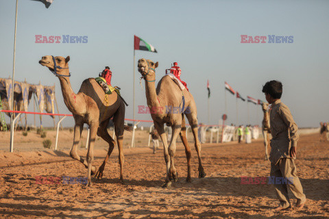 4. Camel Race w El Alamein