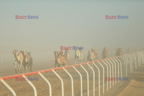 4. Camel Race w El Alamein