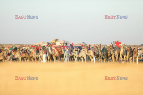 4. Camel Race w El Alamein