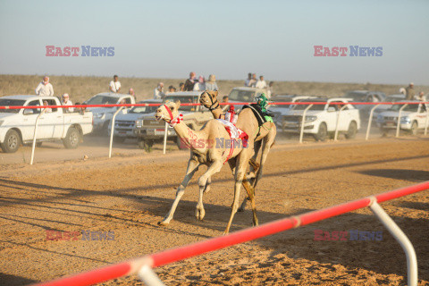 4. Camel Race w El Alamein