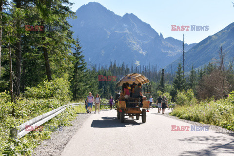 Polskie Tatry Albin Marciniak