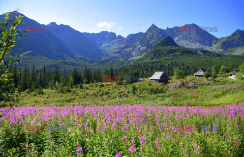 Polskie Tatry Albin Marciniak