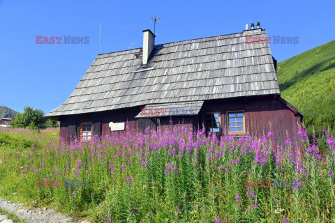 Polskie Tatry Albin Marciniak