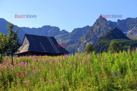 Polskie Tatry Albin Marciniak