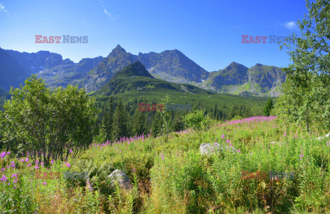 Polskie Tatry Albin Marciniak