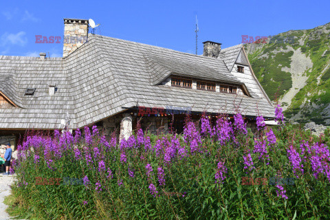 Polskie Tatry Albin Marciniak