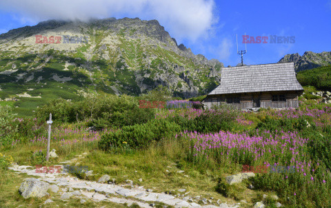 Polskie Tatry Albin Marciniak