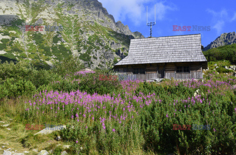 Polskie Tatry Albin Marciniak