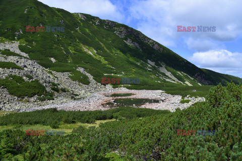 Polskie Tatry Albin Marciniak