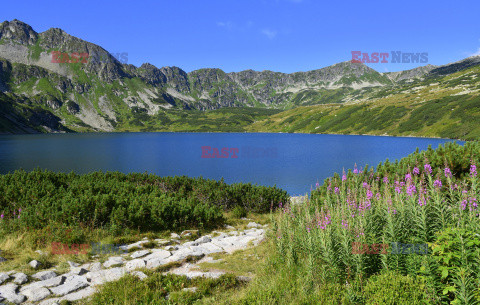 Polskie Tatry Albin Marciniak