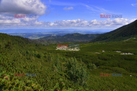 Polskie Tatry Albin Marciniak