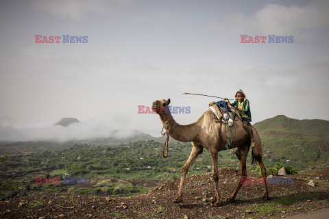 Sytuacja humanitarna w regionie Tigray w Etiopii - AFP