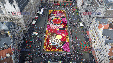 Festiwal kwietnych dywanów w Brukseli