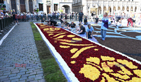 Festiwal kwietnych dywanów w Brukseli