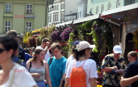 Festiwal Pierogów 2024 na Małym Rynku w Krakowie