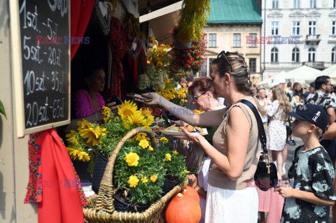 Festiwal Pierogów 2024 na Małym Rynku w Krakowie