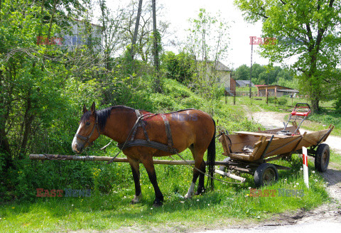 Stock Marek Bazak