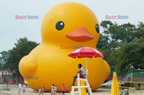 Gigantyczna gumowa kaczka na plaży w Nowym Jorku