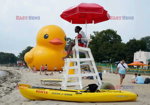 Gigantyczna gumowa kaczka na plaży w Nowym Jorku