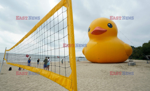 Gigantyczna gumowa kaczka na plaży w Nowym Jorku