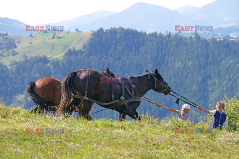 Ukraińskie Karpaty