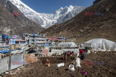 Himalajska wioska Kyanjin Gompa