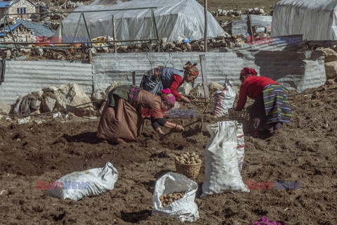 Himalajska wioska Kyanjin Gompa