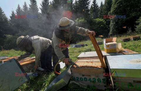 Pszczelarze z Saint-Ours we Francji - AFP