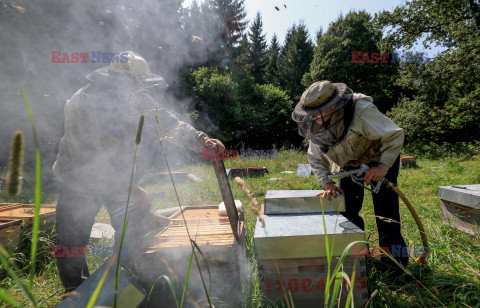 Pszczelarze z Saint-Ours we Francji - AFP