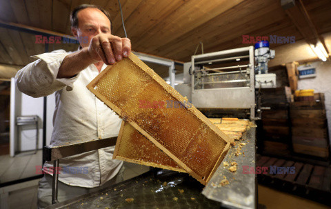 Pszczelarze z Saint-Ours we Francji - AFP