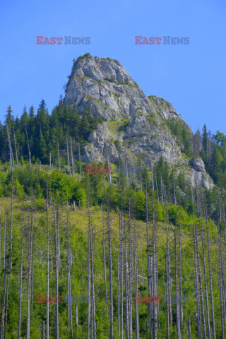 Polskie Tatry Albin Marciniak