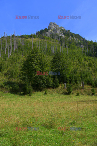 Polskie Tatry Albin Marciniak