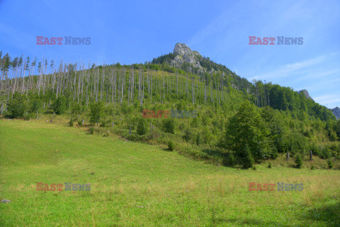 Polskie Tatry Albin Marciniak