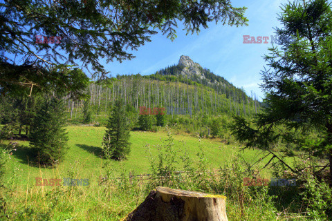 Polskie Tatry Albin Marciniak