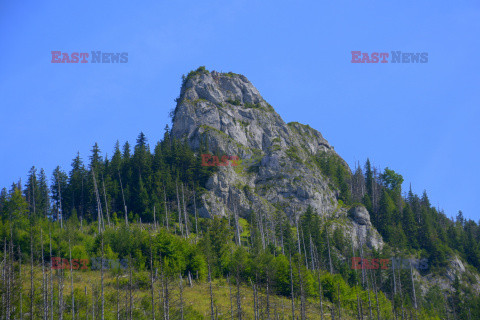 Polskie Tatry Albin Marciniak