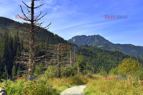 Polskie Tatry Albin Marciniak