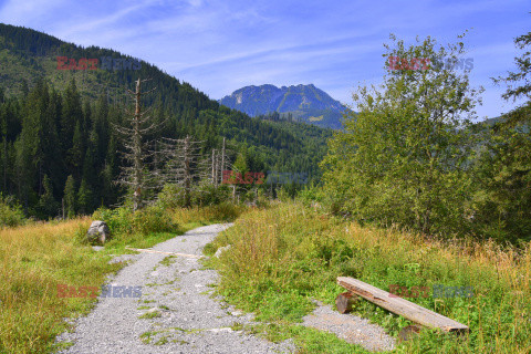 Polskie Tatry Albin Marciniak