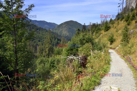 Polskie Tatry Albin Marciniak