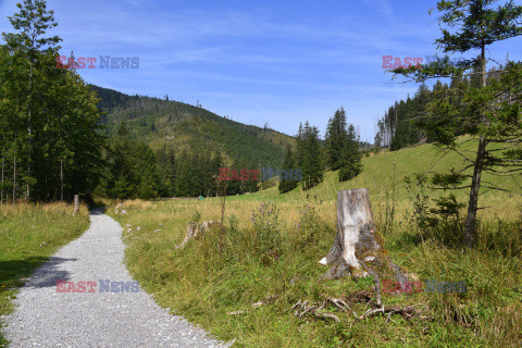 Polskie Tatry Albin Marciniak