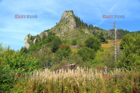 Polskie Tatry Albin Marciniak